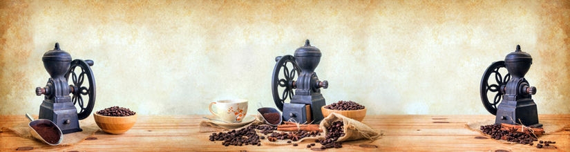 skinali 1877